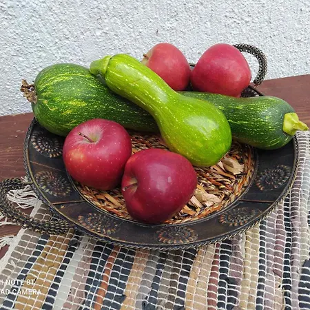 Kipos *