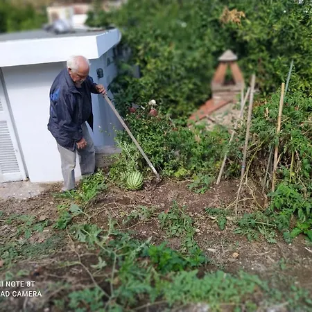 Kipos Skopelos Town